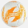 Bola Taiga XI Bola Taiga XI