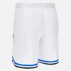 Calções de casa para adultos SC Heerenveen 2025/26 Calções de casa para adultos SC Heerenveen 2025/26