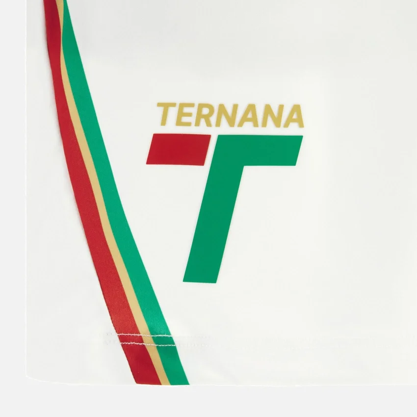 Calções de jogo alternativos para adultos do Ternana Calcio 2025/26 Calções de jogo alternativos para adultos do Ternana Calcio 2025/26