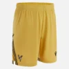 Calções Eagle Gold para Adultos do Crystal Palace FC 2025/26 Calções Eagle Gold para Adultos do Crystal Palace FC 2025/26