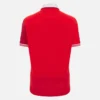 Camisas de algodão da seleção galesa de râguebi 2025/26