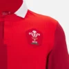 Camisas de algodão da seleção galesa de râguebi 2025/26
