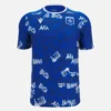 Camisas de aquecimento para adultos Auxerre 2025/26