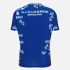 Camisas de aquecimento para adultos Auxerre 2025/26