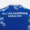 Camisas de aquecimento para adultos Auxerre 2025/26