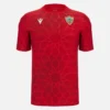 Camisas de aquecimento para adultos do UD Almeria 2025/26 Camisas de aquecimento para adultos do UD Almeria 2025/26