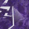 Camisas de aquecimento para adultos FK Austria Wien 2025/26 Camisas de aquecimento para adultos FK Austria Wien 2025/26