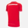 Camisas de jogo em casa do Welsh Rugby 2025/26 Camisas de jogo em casa do Welsh Rugby 2025/26