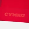 Camisas de jogo em casa do Welsh Rugby 2025/26 Camisas de jogo em casa do Welsh Rugby 2025/26