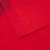Camisas de jogo em casa do Welsh Rugby 2025/26 Camisas de jogo em casa do Welsh Rugby 2025/26