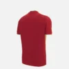 Camisas de Jogo Júnior de Críquete T-20 das Índias Ocidentais para o Mundial de 2026 Camisas de Jogo Júnior de Críquete T-20 das Índias Ocidentais para o Mundial de 2026