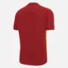 Camisas de jogo T-20 West Indies Cricket 2025/26 Camisas de jogo T-20 West Indies Cricket 2025/26