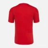 Camisas de treino para adultos Pallacanestro Reggiana 2025/26 Camisas de treino para adultos Pallacanestro Reggiana 2025/26