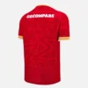 Camisas réplica da Welsh Rugby 2025/26 Home Pathway Camisas réplica da Welsh Rugby 2025/26 Home Pathway