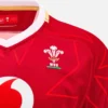 Camisas réplica da Welsh Rugby 2025/26 Home Pathway Camisas réplica da Welsh Rugby 2025/26 Home Pathway