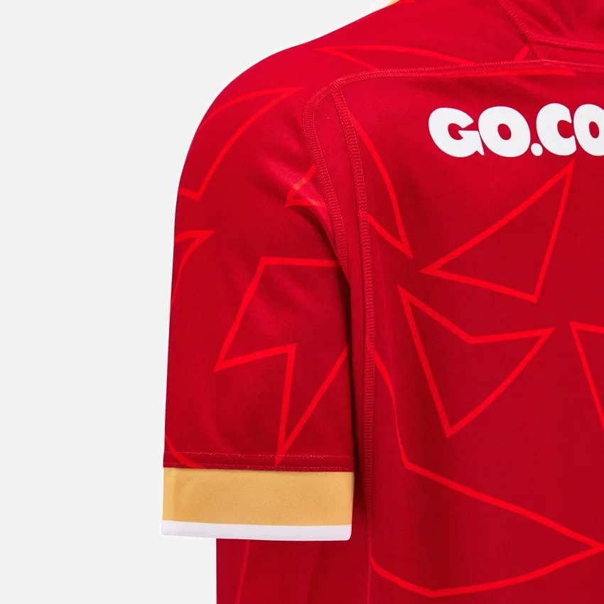 Camisas réplica da Welsh Rugby 2025/26 Home Pathway Camisas réplica da Welsh Rugby 2025/26 Home Pathway