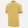 Camisola de jogo alternativa para adulto do Crystal Palace FC 2025/26 Camisola de jogo alternativa para adulto do Crystal Palace FC 2025/26