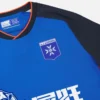 Camisola de jogo alternativa para adultos do Auxerre 2025/26 Camisola de jogo alternativa para adultos do Auxerre 2025/26