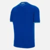 Camisola de jogo alternativa para adultos do PAOK FC 2025/26 Camisola de jogo alternativa para adultos do PAOK FC 2025/26