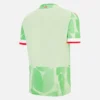Camisola de jogo alternativa para adultos do Reading FC 2025/26 Camisola de jogo alternativa para adultos do Reading FC 2025/26