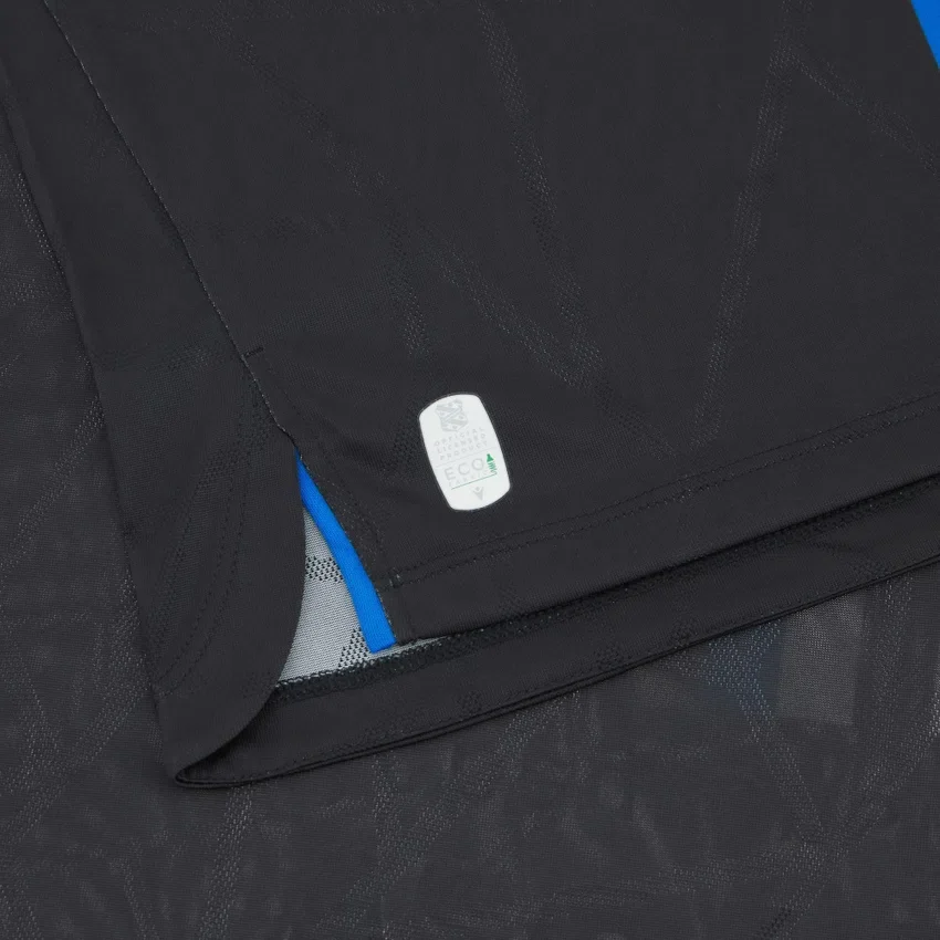 Camisola de jogo alternativa para adultos do SC Heerenveen 2025/26 Camisola de jogo alternativa para adultos do SC Heerenveen 2025/26