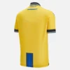 Camisola de jogo em casa do Apoel FC 2025/26 para adultos Camisola de jogo em casa do Apoel FC 2025/26 para adultos