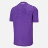 Camisola de jogo em casa para adultos do FK Austria Wien 2025/26 Camisola de jogo em casa para adultos do FK Austria Wien 2025/26