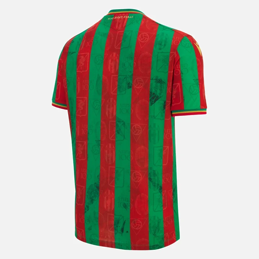 Camisola de jogo em casa para adultos do Ternana Calcio 2025/26 Camisola de jogo em casa para adultos do Ternana Calcio 2025/26