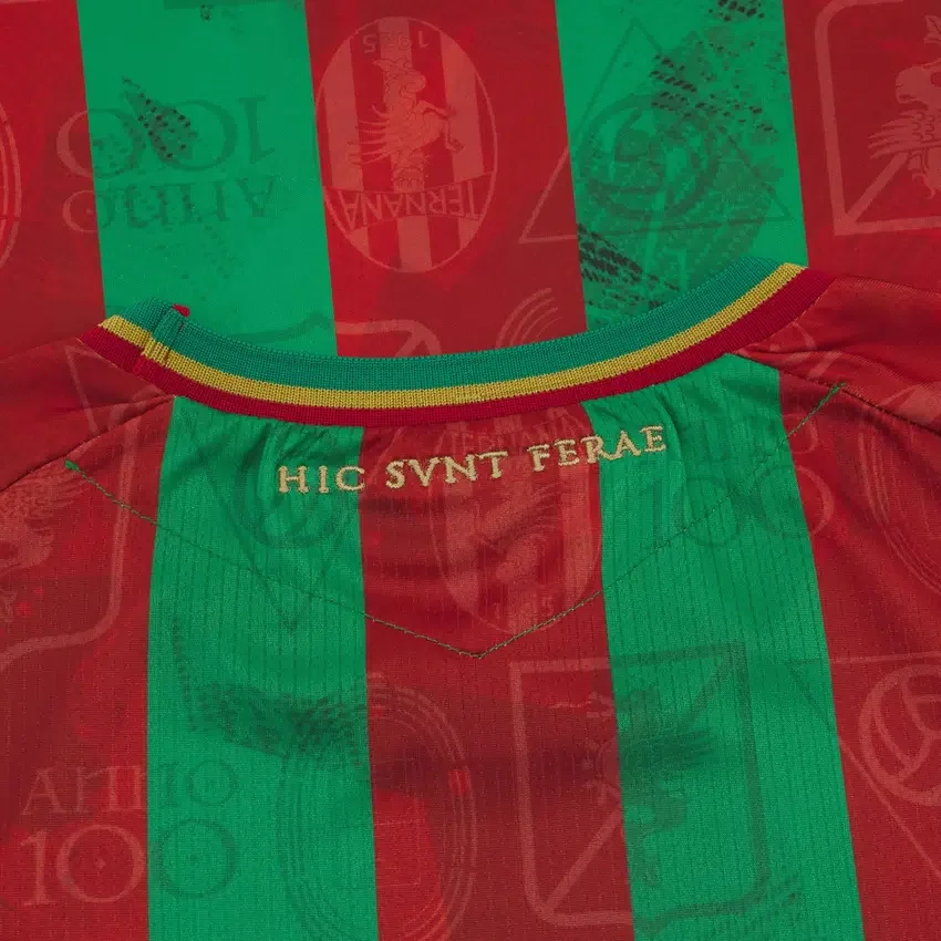 Camisola de jogo em casa para adultos do Ternana Calcio 2025/26 Camisola de jogo em casa para adultos do Ternana Calcio 2025/26