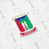 Camisola de jogo fora de casa da Seleção da Guiné Equatorial 2025/26 para adultos Camisola de jogo fora de casa da Seleção da Guiné Equatorial 2025/26 para adultos