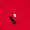 Camisola de jogo júnior da Federação Georgiana de Futebol 2025/26 Camisola de jogo júnior da Federação Georgiana de Futebol 2025/26