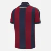 Camisolas de jogo em casa do Levante UD 2025/26 para adultos Camisolas de jogo em casa do Levante UD 2025/26 para adultos