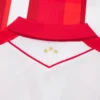 Camisolas de jogo em casa do Red Star Belgrado 2025/26 para adultos Camisolas de jogo em casa do Red Star Belgrado 2025/26 para adultos