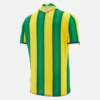 Camisolas de jogo fora de casa do West Bromwich Albion F.C. 2025/26 para adultos Camisolas de jogo fora de casa do West Bromwich Albion F.C. 2025/26 para adultos