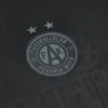 Camisolas FK Austria Wien 2025/26 Edição Especial Camisolas FK Austria Wien 2025/26 Edição Especial