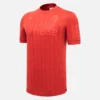 Camisolas Hannover 96 2025/26 Edição Especial Camisolas Hannover 96 2025/26 Edição Especial