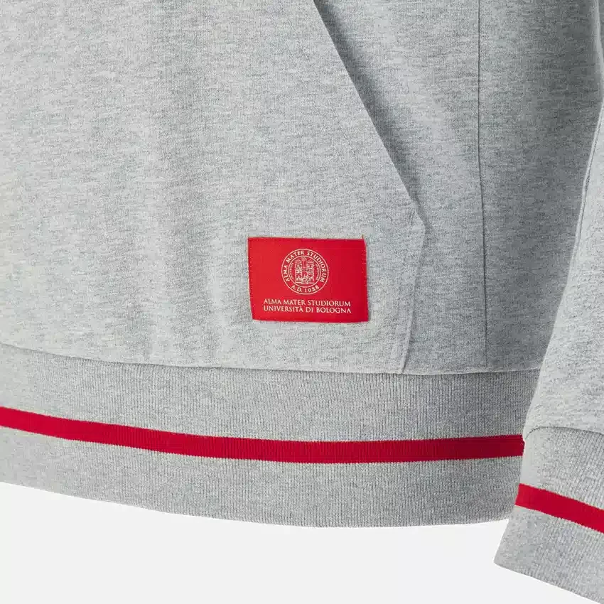 Coleção Unibo Hoodies cinzenta mesclada escovada para adultos Coleção Unibo Hoodies cinzenta mesclada escovada para adultos