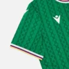 Federazione Calcistica Isole Comore 2025/26 Camisolas de jogo em casa para adultos Federazione Calcistica Isole Comore 2025/26 Camisolas de jogo em casa para adultos