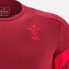 T-shirt de treino de manguitos longos Welsh Rugby 2025/26 Deep Red