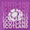 T-shirt roxo Scottish Rugby 2025/26 T-shirt roxo Scottish Rugby 2025/26