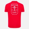 T-shirt Vermelho de Adepto do Welsh Rugby 2025/26