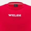 T-shirt Vermelho de Adepto do Welsh Rugby 2025/26