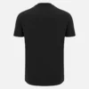 T-shirts de algodão da linha de fãs para adultos Italia Rugby 2025/26 T-shirts de algodão da linha de fãs para adultos Italia Rugby 2025/26
