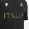 T-shirts de algodão da linha de fãs para adultos Italia Rugby 2025/26 T-shirts de algodão da linha de fãs para adultos Italia Rugby 2025/26