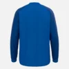 Tops de contacto Skarn Tops de contacto Skarn